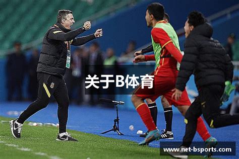 篮球赛事